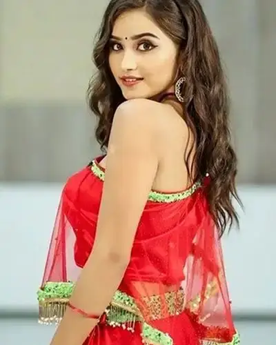 Call Girls Service Parbatsar